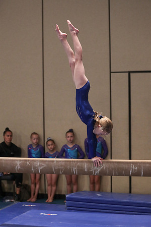 ag1i7217
