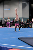 Taylor C