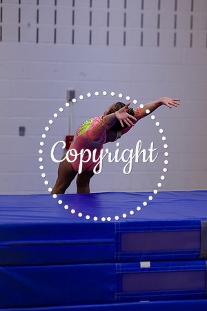_MS_0012