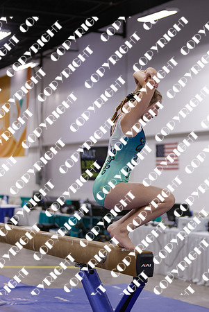 _29A0099