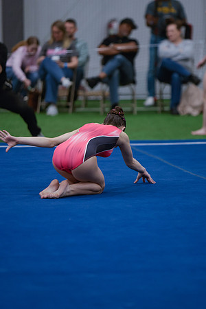 _29A0017