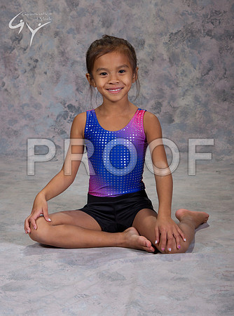 _13G2208
