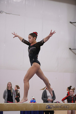 JMS_9411