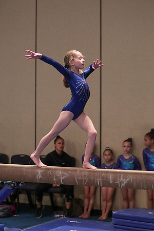 ag1i7224