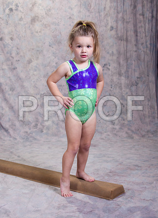 _13G7383