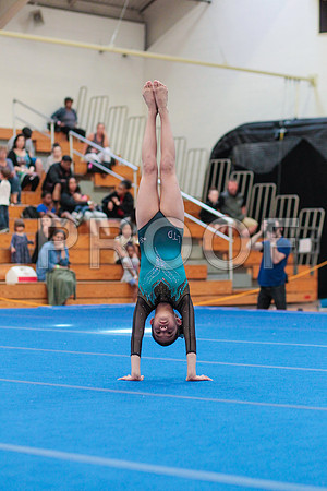_46_0173