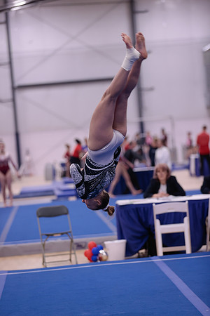 _06I0050
