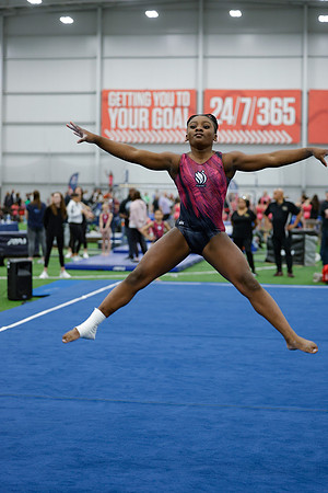 _16A0113