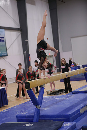 JMS_9498