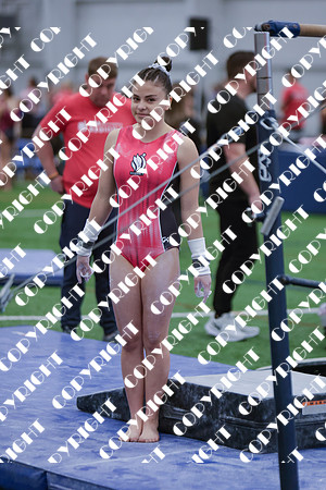 _29A0004