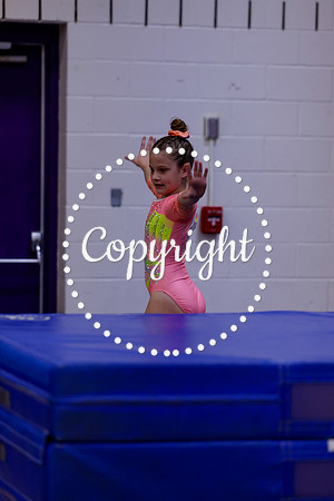 _MS_0016