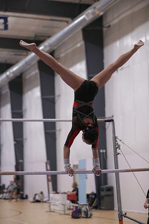 JMS_8448