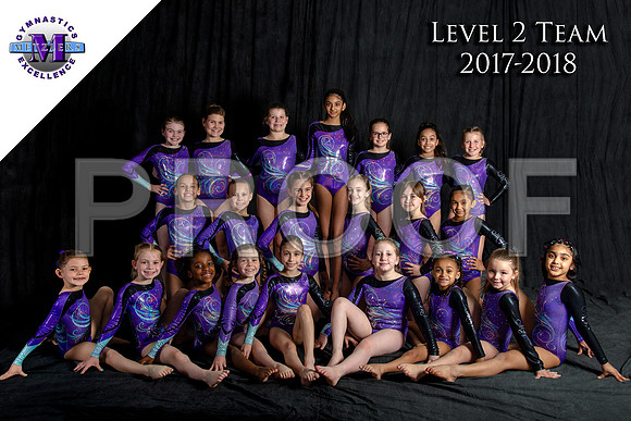 Level 2 Team - logo