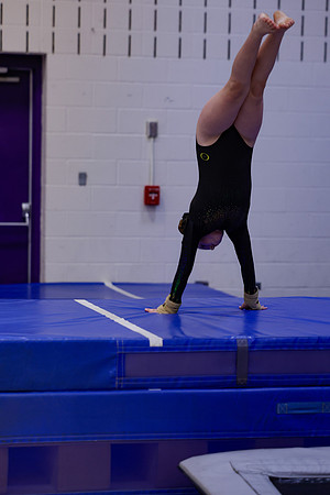 _MS_0027
