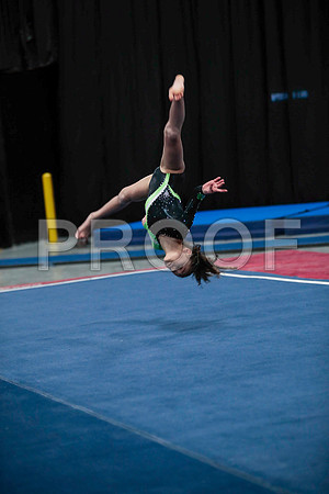 _61_5017