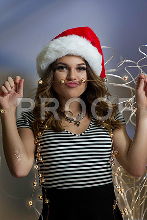 Savannah Christmas 2016
