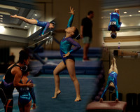 SCcollage