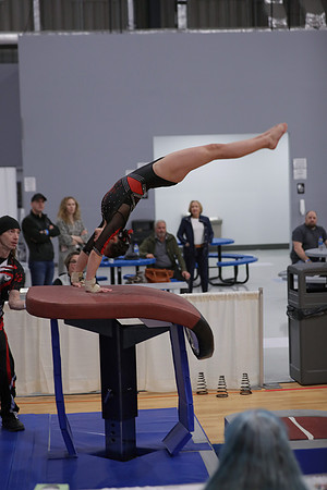 JMS_8157