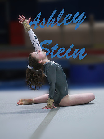 Ashley Stein Gymnastics of York