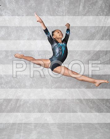 _61_4810 - leap