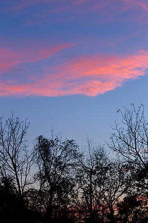 Night Sky - Gymnastics of York 2