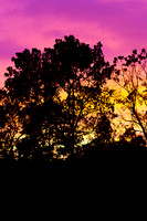 GY Night Sky
