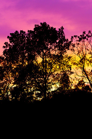 GY Night Sky