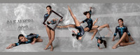 Samples of Gymnastics Portrait Art