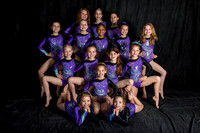 Level 3 team