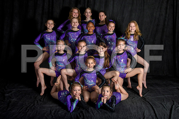 Level 3 team