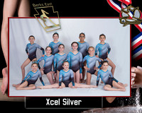 Team Photo Template Berks East  Xcel Silver