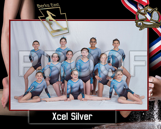 Team Photo Template Berks East  Xcel Silver