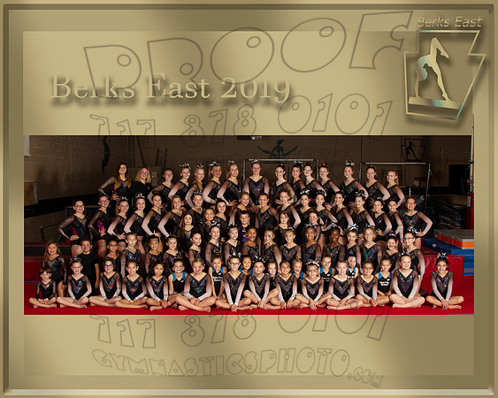 Berks East Team  2019 Team Photo gold border photo97
