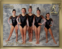 Xcel Platinum 2019 Team Photo gold border