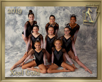 Xcel Gold 2019 Team Photo gold border
