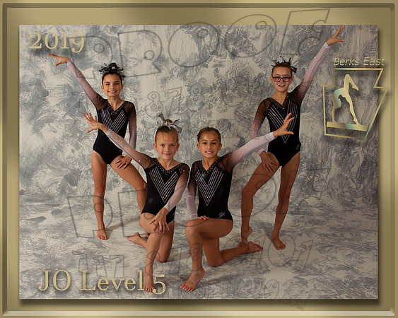 JO Level 5 Photo gold border