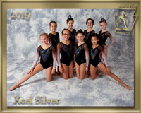 Xcel Silver 2019 Team Photo gold border