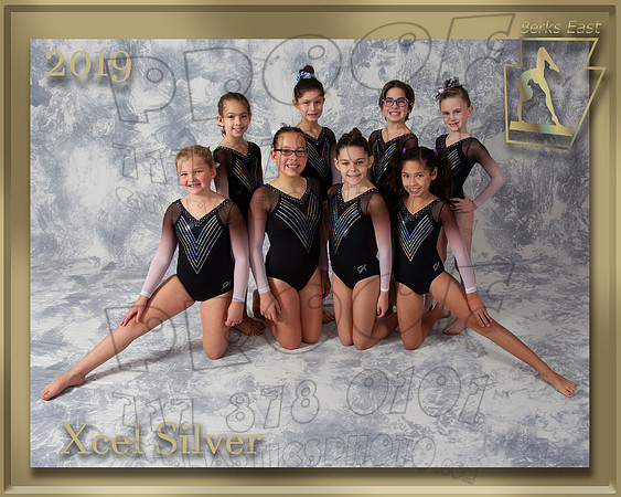 Xcel Silver 2019 Team Photo gold border
