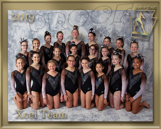 Xcel Team 2019 Team Photo gold border