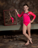 Riley D