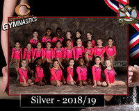 Team Photo Template Coppermine Silver