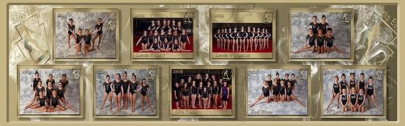 Team Banner Berks 2019  36 x 120 -zenfolio downsize