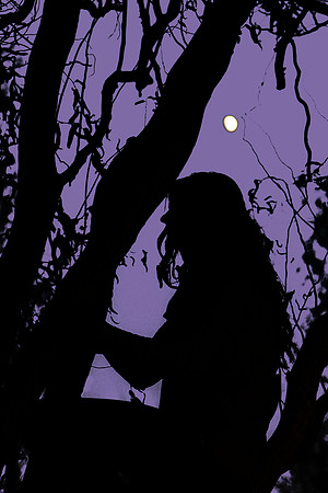 Caroline Reitano - Silhouette