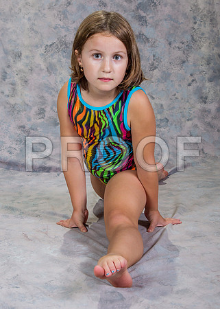 125 Addison Swannge_13G1364