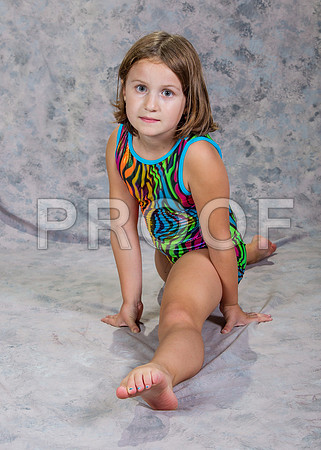 125 Addison Swannge_13G1368