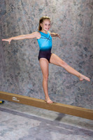 133 Lizzie Hall_13G1548