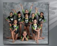 Level 4 team