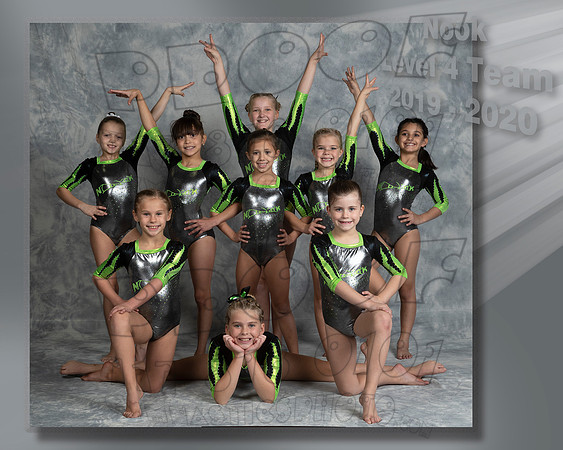 Level 4 team