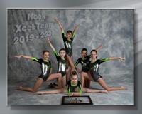 Nook Xcel Team 2019-2020