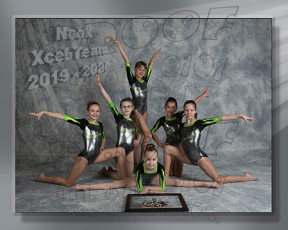 Nook Xcel Team 2019-2020